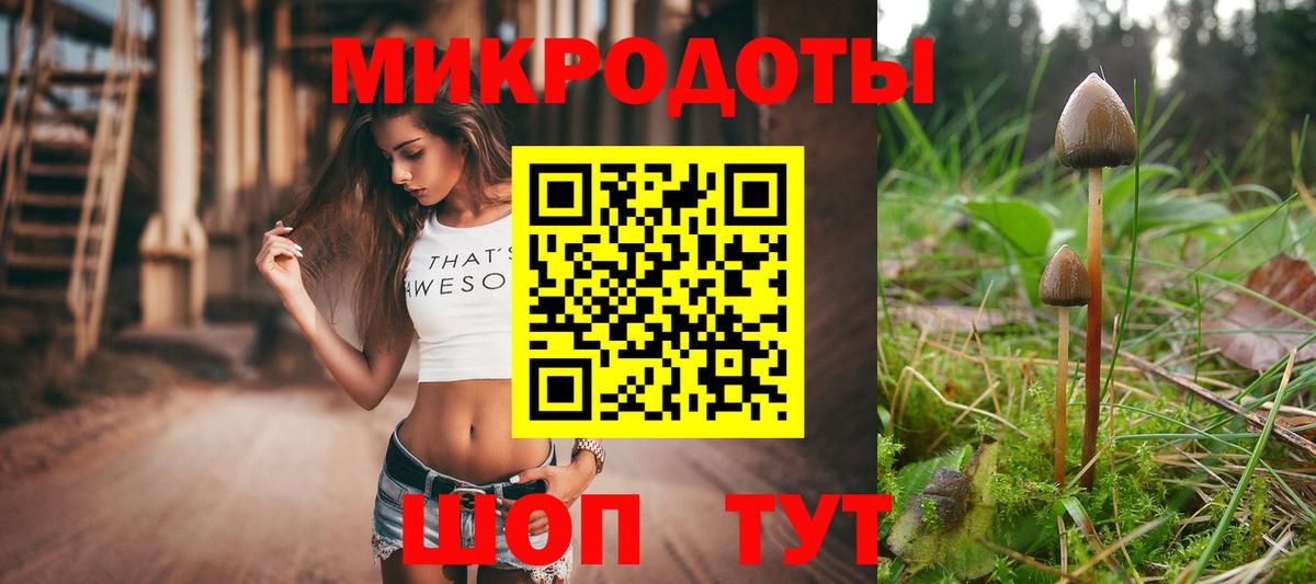 Галлюциногенные грибы прущие грибы Симферополь